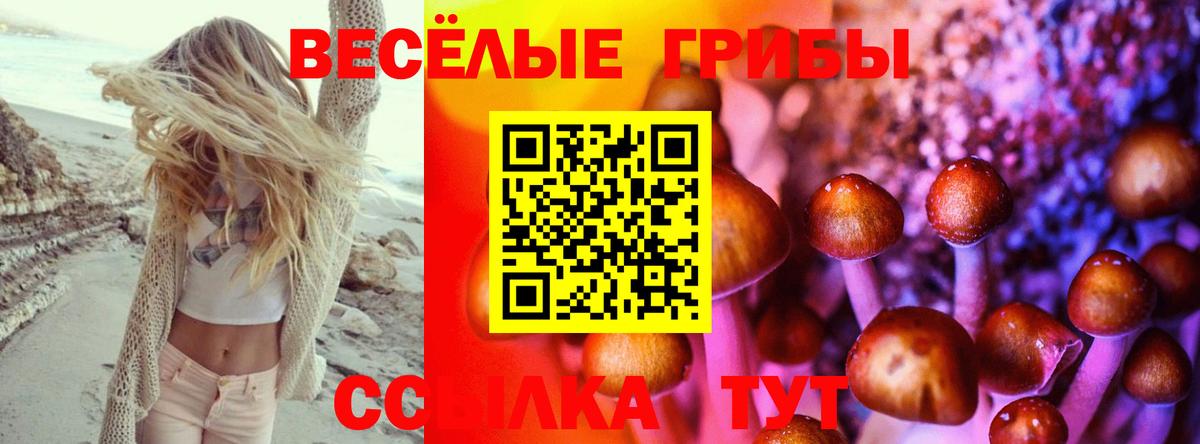 Галлюциногенные грибы Magic Shrooms  Вход с VPN  Псилоцибиновые грибы мицелий  Фурманов 