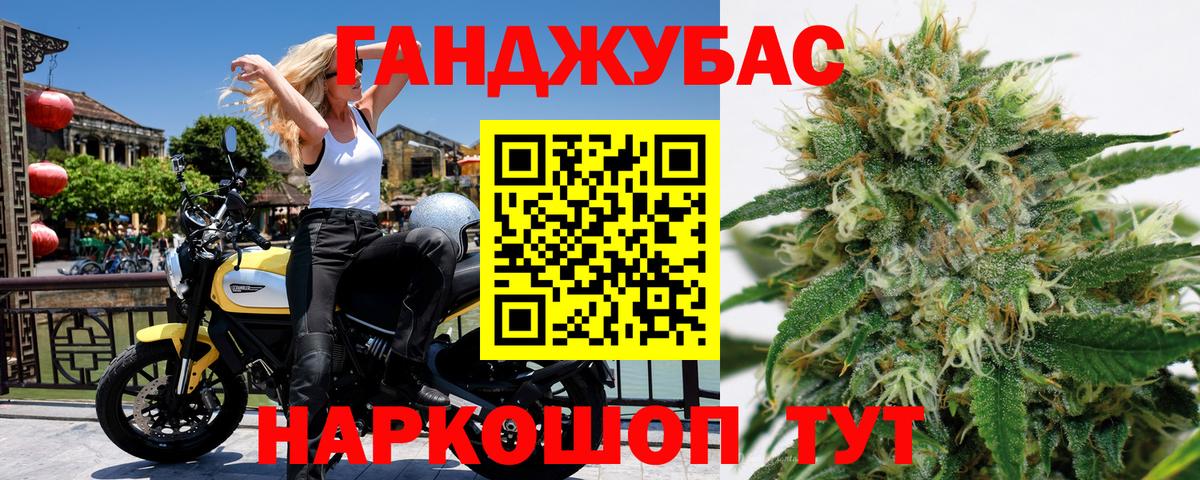 Канабис сатива Фурманов